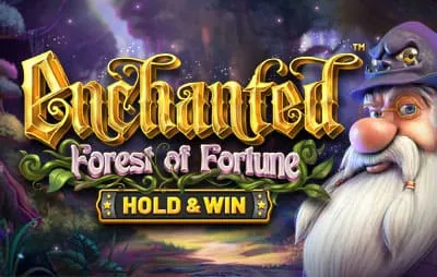 Rainbet Enchanted Forest Fortune